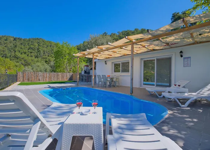 Hill Stone Vila