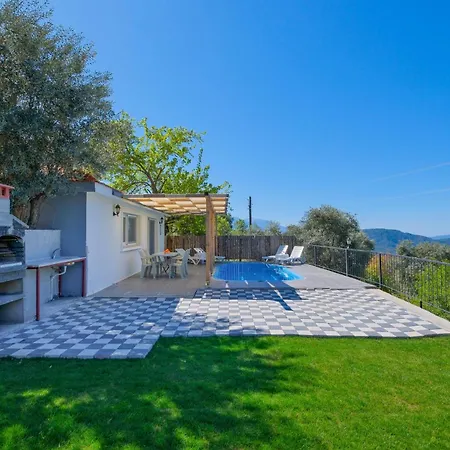 Hill Stone * 페티예