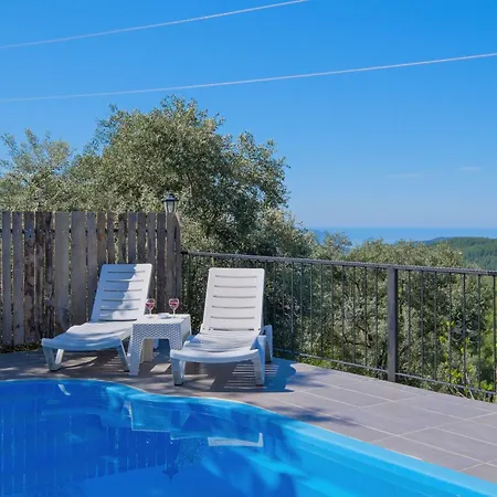 Hill Stone * 페티예