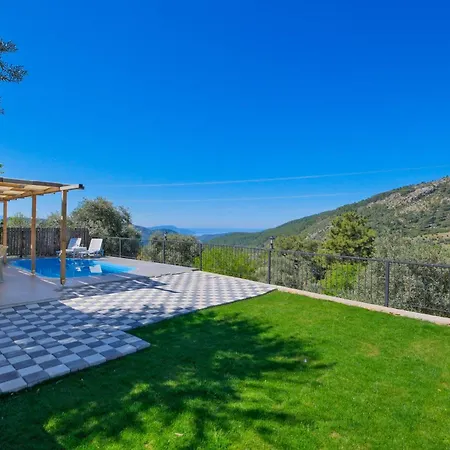 Hill Stone 페티예